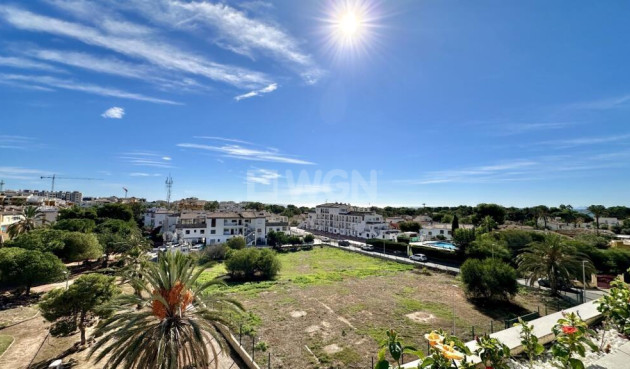 Odsprzedaż - Daszek - Torrevieja - Punta Prima