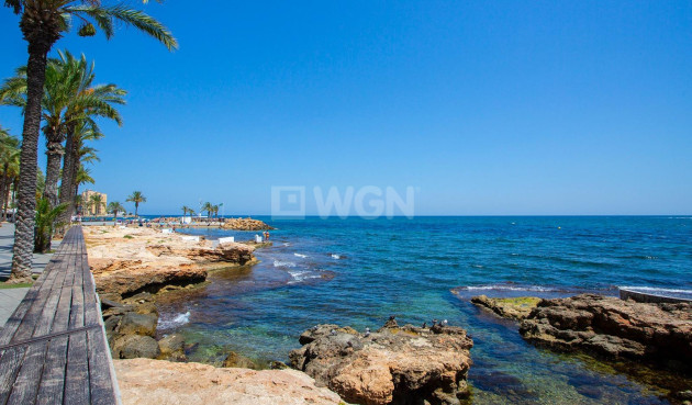 Reventa - Apartamento / piso - Torrevieja - Playa del Cura