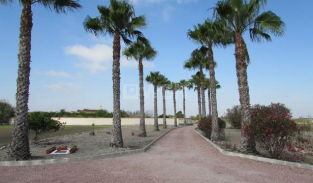 Odsprzedaż - Villa - Dolores - Comunidad Valenciana