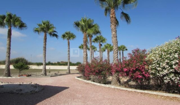 Odsprzedaż - Villa - Dolores - Comunidad Valenciana