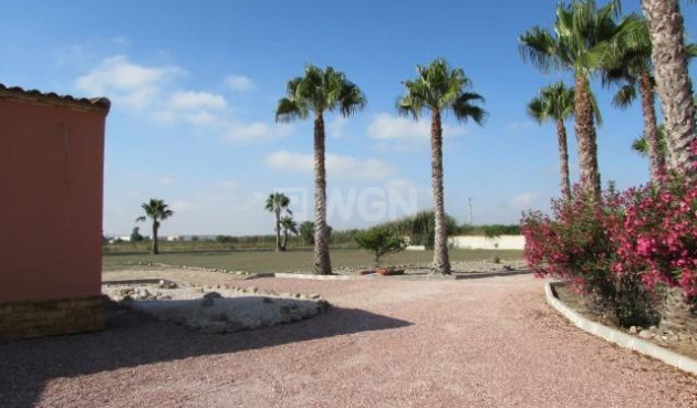 Odsprzedaż - Villa - Dolores - Comunidad Valenciana