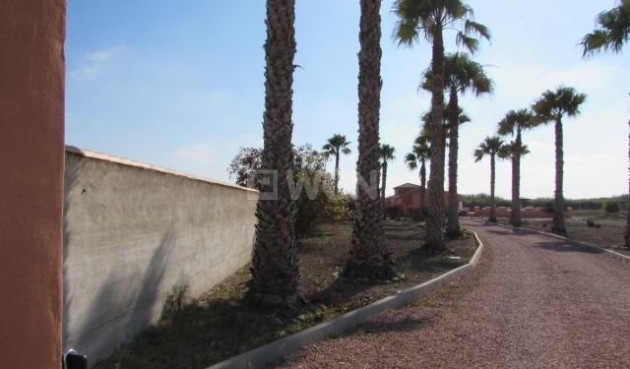 Odsprzedaż - Villa - Dolores - Comunidad Valenciana