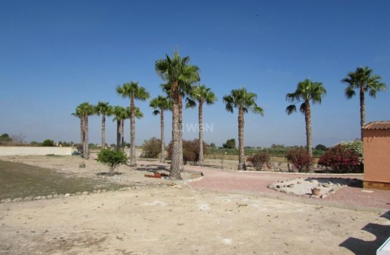 Odsprzedaż - Villa - Dolores - Comunidad Valenciana