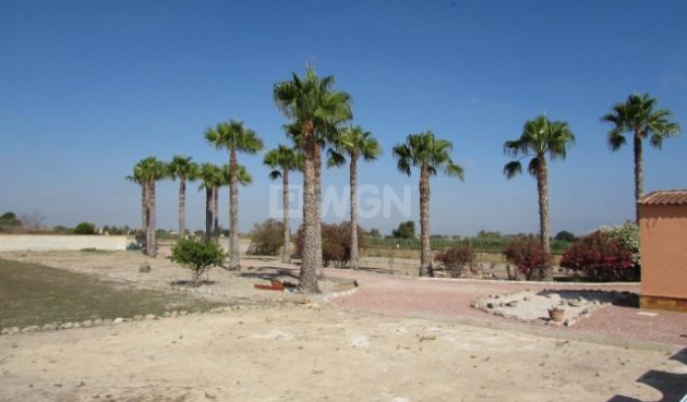 Odsprzedaż - Villa - Dolores - Comunidad Valenciana