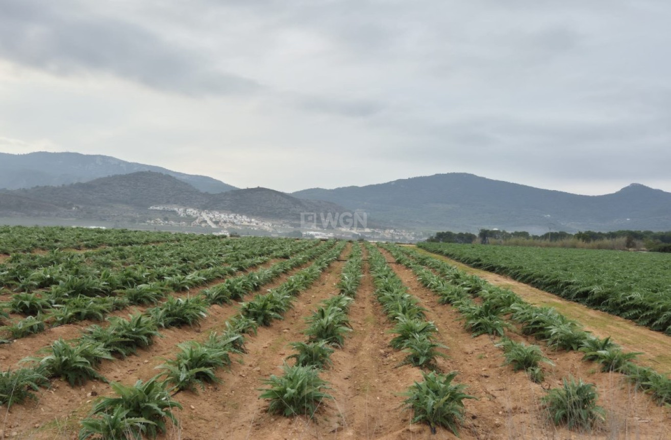 Resale - Plot / Land - Hondón de las Nieves - Inland