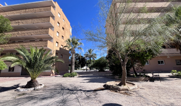 Odsprzedaż - Mieszkanie w bloku - La Mata - Costa Blanca