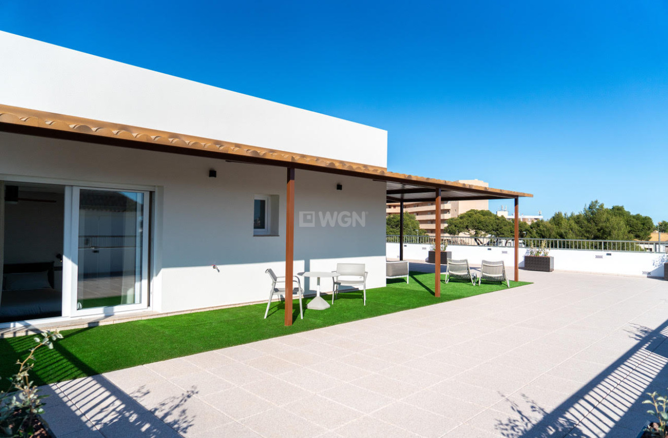 Resale - Penthouse - Orihuela - Inland