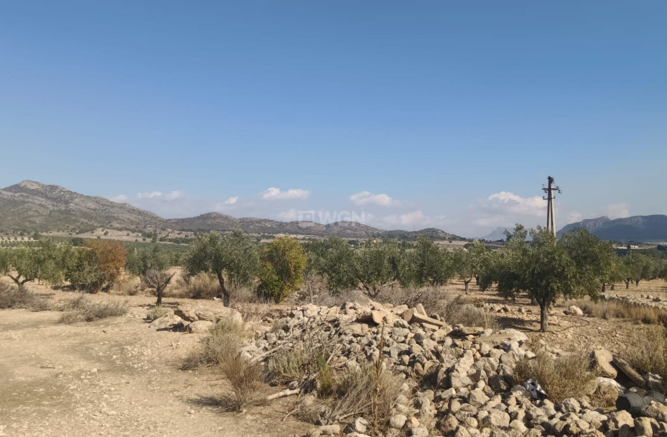 Odsprzedaż - Działka / Grunt - Salinas - Inland