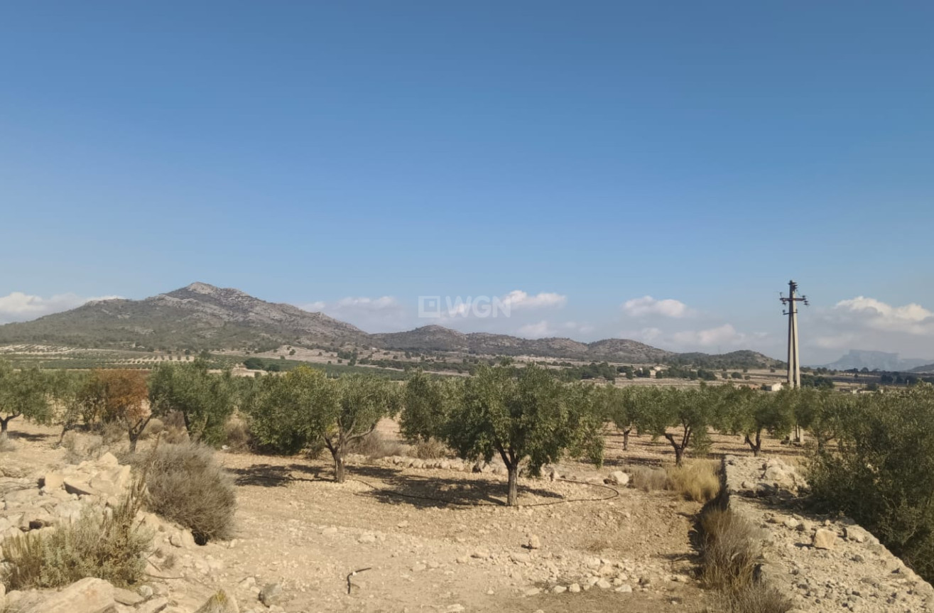 Odsprzedaż - Działka / Grunt - Salinas - Inland