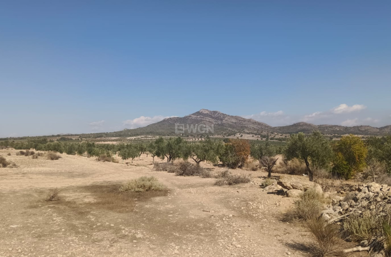 Odsprzedaż - Działka / Grunt - Salinas - Inland