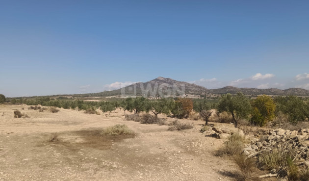 Odsprzedaż - Działka / Grunt - Salinas - Inland