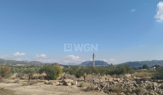 Odsprzedaż - Działka / Grunt - Salinas - Inland