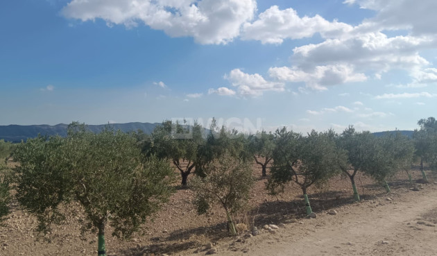 Odsprzedaż - Działka / Grunt - Salinas - Inland