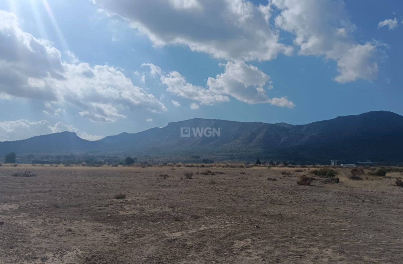 Odsprzedaż - Działka / Grunt - Salinas - Inland