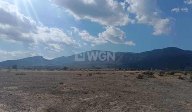 Odsprzedaż - Działka / Grunt - Salinas - Inland