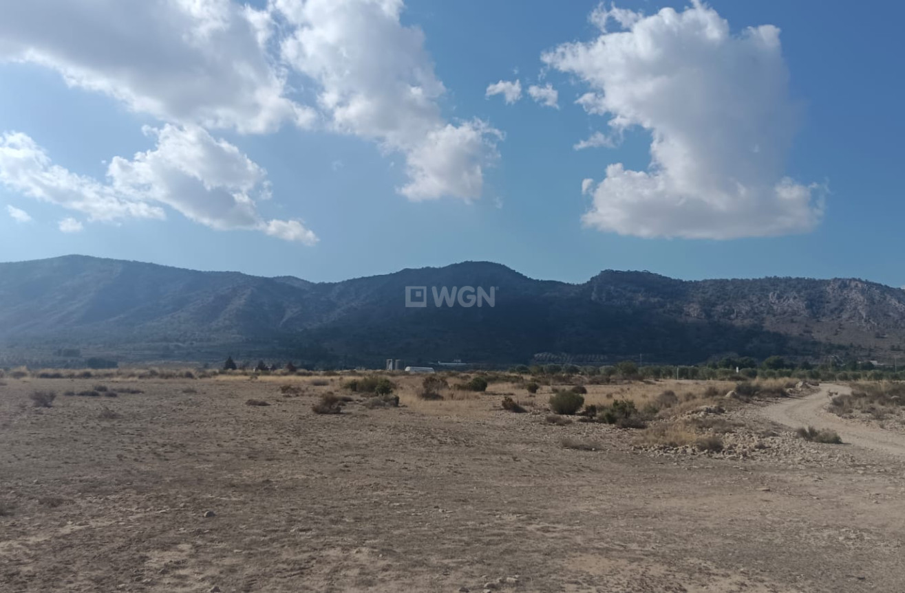 Odsprzedaż - Działka / Grunt - Salinas - Inland