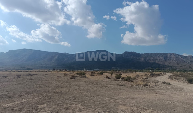 Odsprzedaż - Działka / Grunt - Salinas - Inland