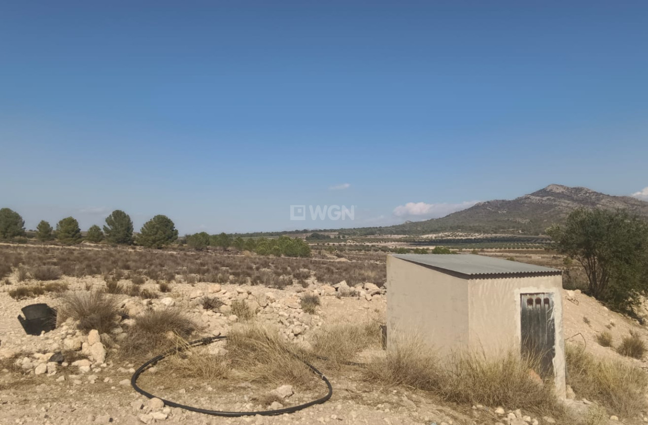 Odsprzedaż - Działka / Grunt - Salinas - Inland