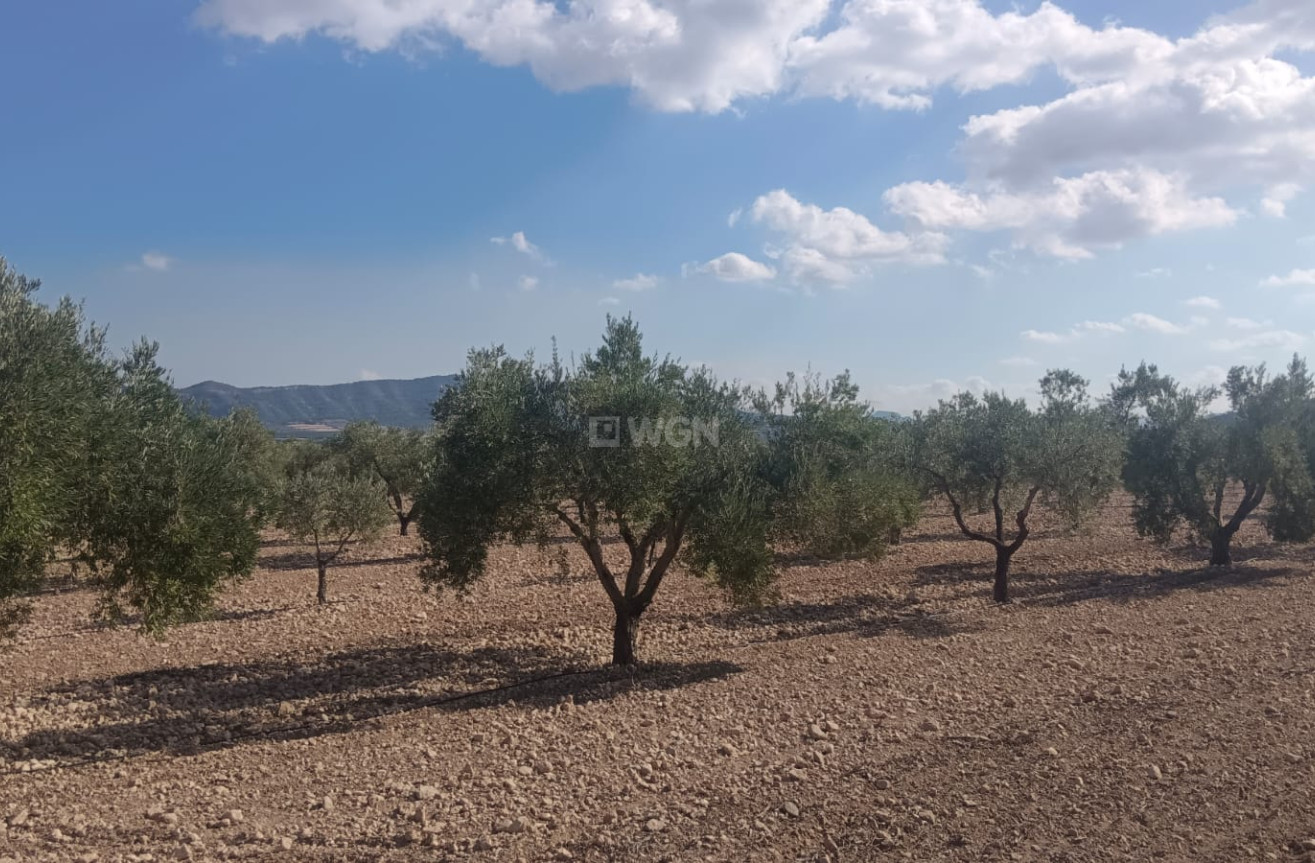 Odsprzedaż - Działka / Grunt - Salinas - Inland