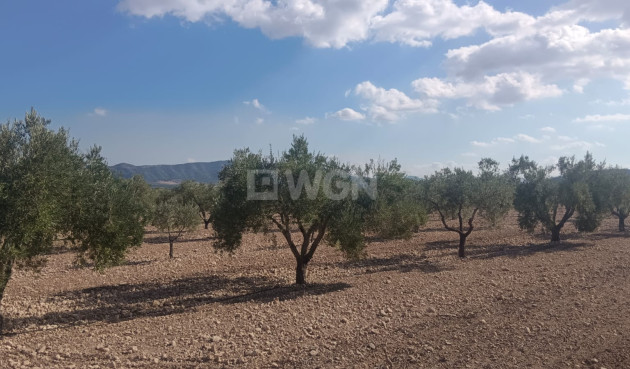 Odsprzedaż - Działka / Grunt - Salinas - Inland