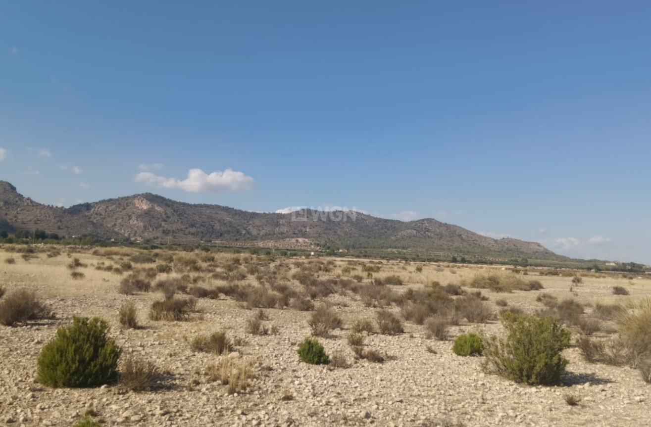 Odsprzedaż - Działka / Grunt - Salinas - Inland