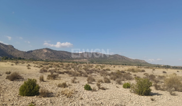 Odsprzedaż - Działka / Grunt - Salinas - Inland