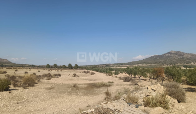 Odsprzedaż - Działka / Grunt - Salinas - Inland