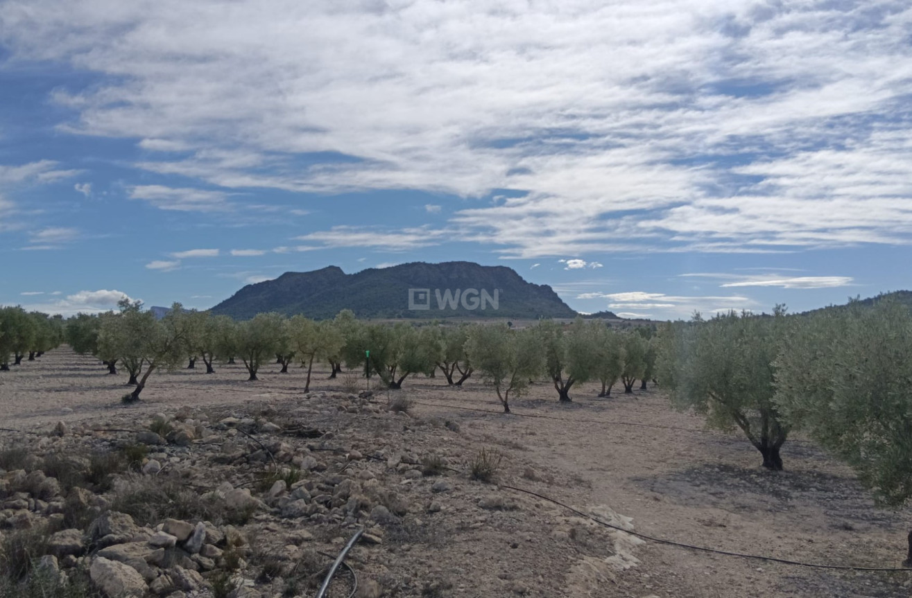 Odsprzedaż - Działka / Grunt - Salinas - Inland