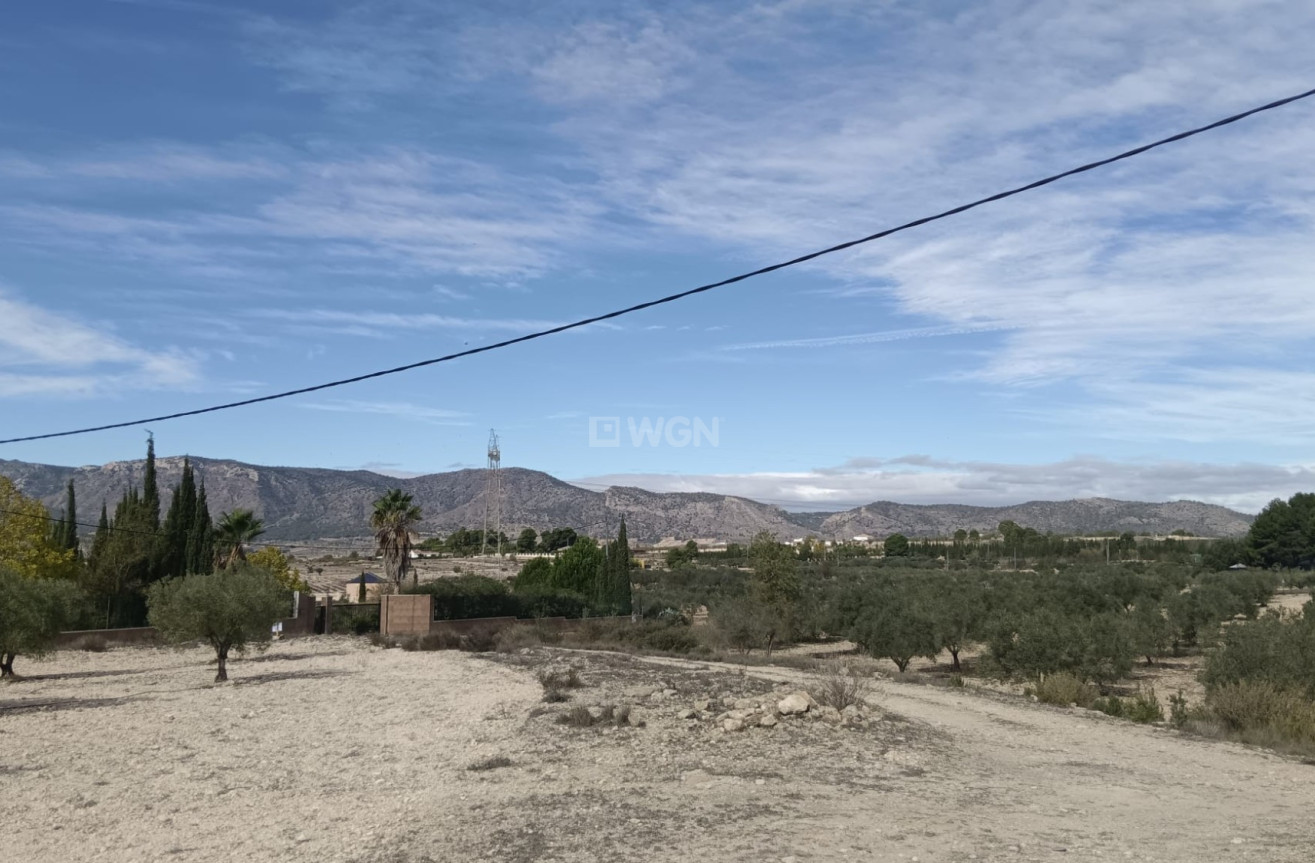 Odsprzedaż - Działka / Grunt - Salinas - Inland