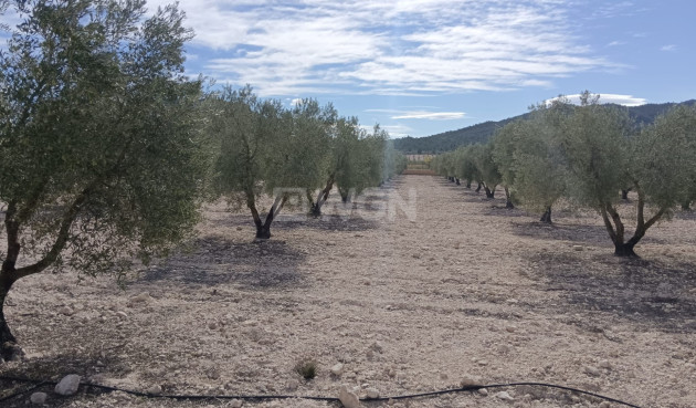 Odsprzedaż - Działka / Grunt - Salinas - Inland