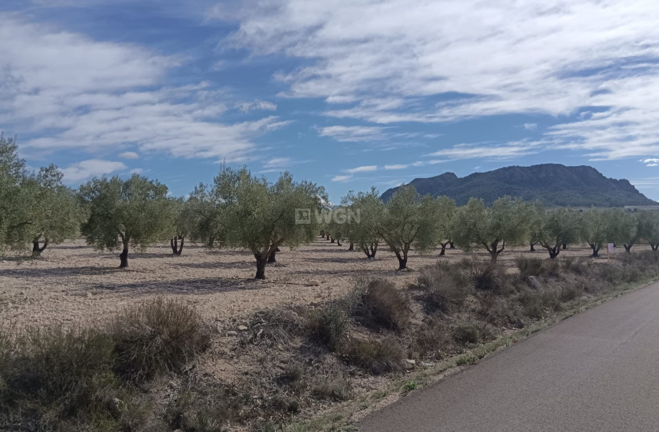 Odsprzedaż - Działka / Grunt - Salinas - Inland