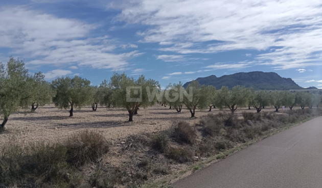 Odsprzedaż - Działka / Grunt - Salinas - Inland