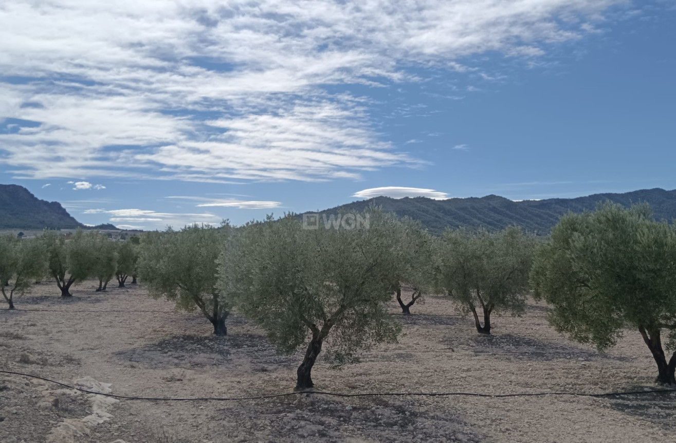 Odsprzedaż - Działka / Grunt - Salinas - Inland