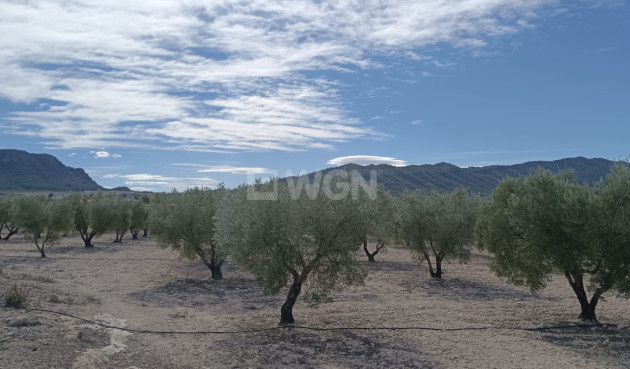 Odsprzedaż - Działka / Grunt - Salinas - Inland