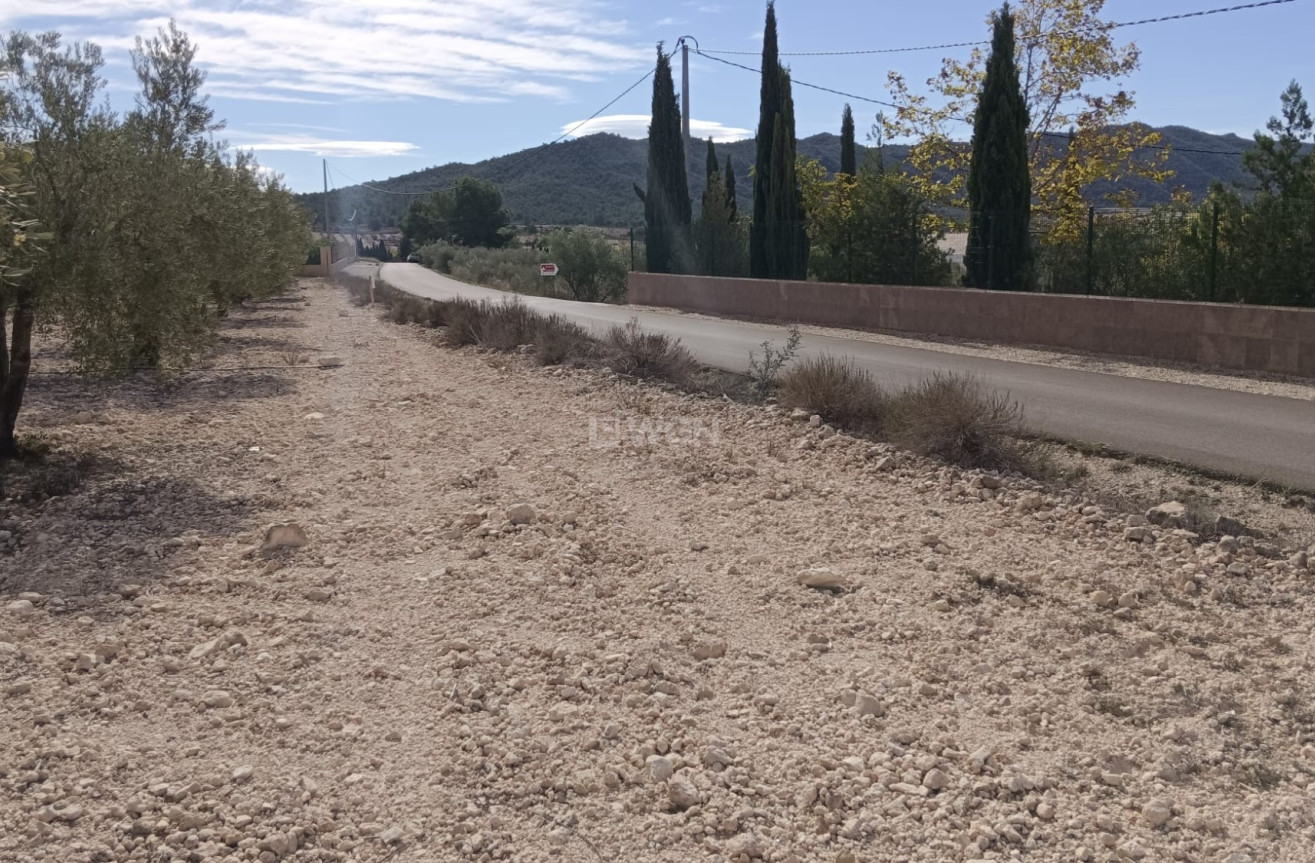 Odsprzedaż - Działka / Grunt - Salinas - Inland