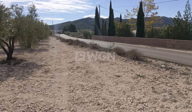 Odsprzedaż - Działka / Grunt - Salinas - Inland