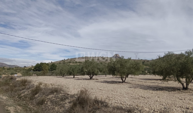 Odsprzedaż - Działka / Grunt - Salinas - Inland