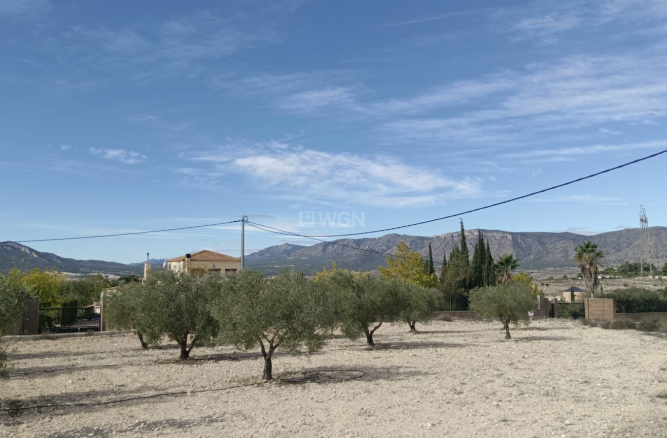 Odsprzedaż - Działka / Grunt - Salinas - Inland