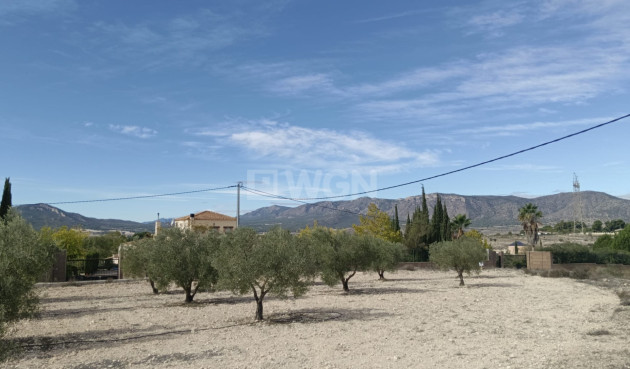 Odsprzedaż - Działka / Grunt - Salinas - Inland