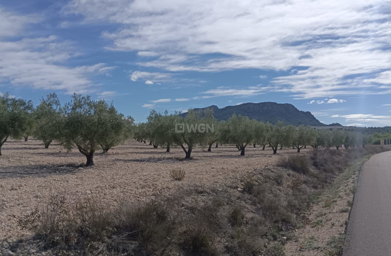 Odsprzedaż - Działka / Grunt - Salinas - Inland