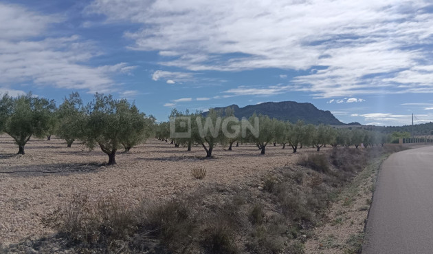 Odsprzedaż - Działka / Grunt - Salinas - Inland