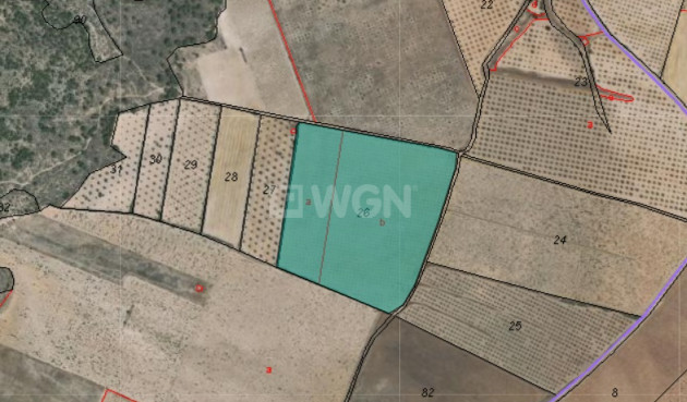 Reventa - Parcela / Terreno - Yecla - Inland