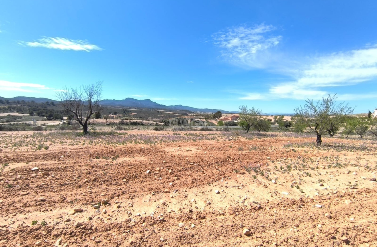 Odsprzedaż - Działka / Grunt - Canada del Trigo - Inland