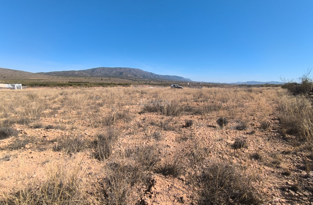 Odsprzedaż - Działka / Grunt - Pinoso - Inland