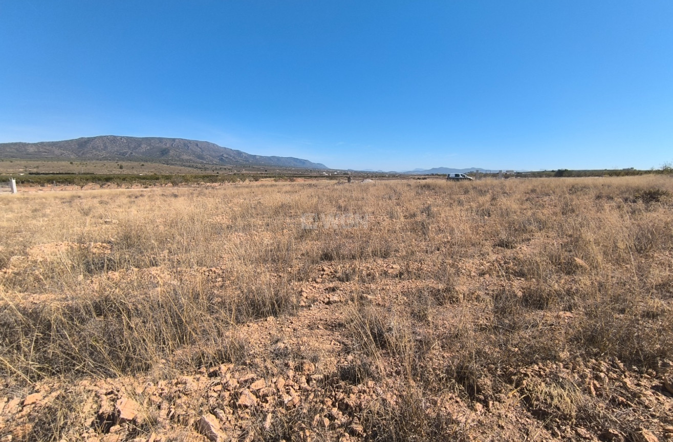 Odsprzedaż - Działka / Grunt - Pinoso - Inland