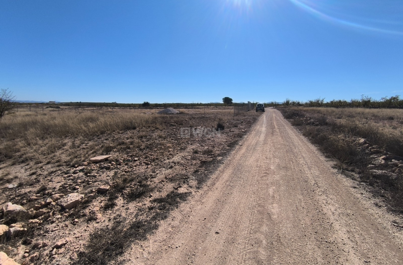 Odsprzedaż - Działka / Grunt - Pinoso - Inland