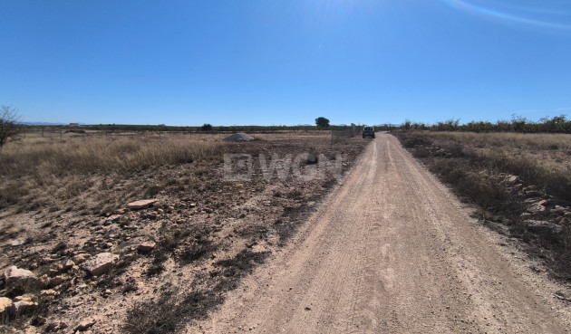 Odsprzedaż - Działka / Grunt - Pinoso - Inland