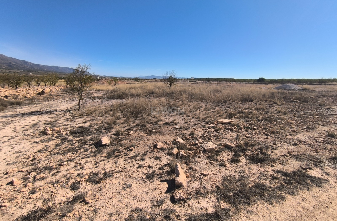 Odsprzedaż - Działka / Grunt - Pinoso - Inland