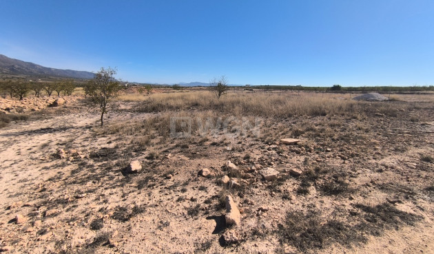 Odsprzedaż - Działka / Grunt - Pinoso - Inland