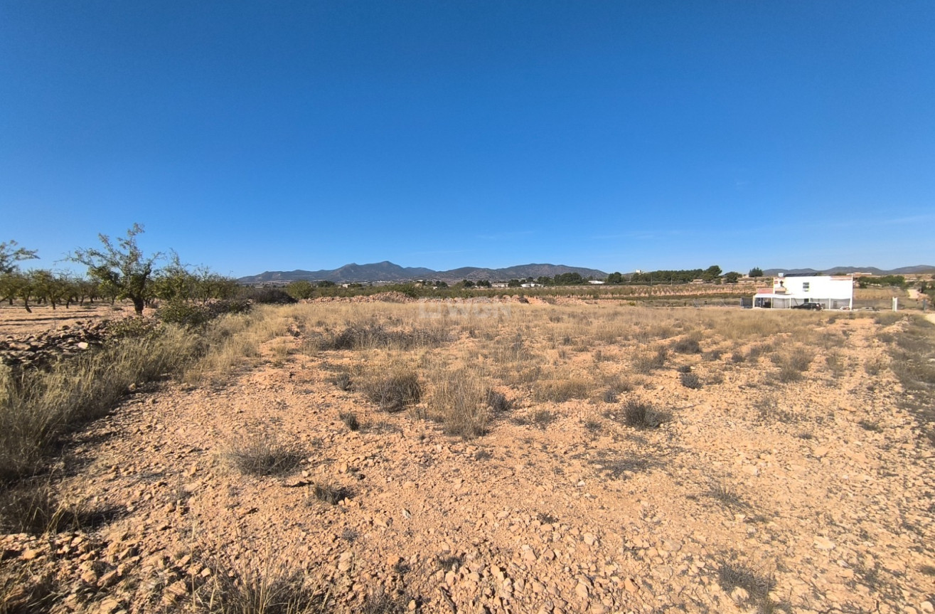 Odsprzedaż - Działka / Grunt - Pinoso - Inland